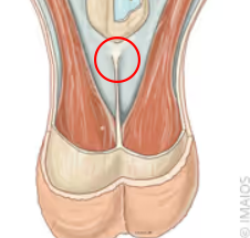 central-wall-1-circled