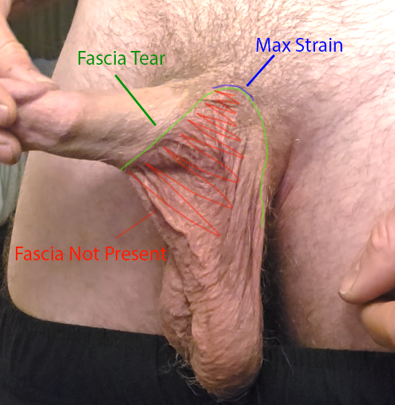 present-day-1-diagram